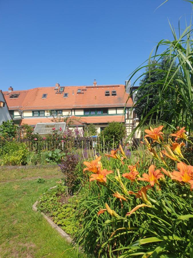 Denkmal-Ferienhaus In Dresden-Hellerau Mit Sauna Und Kamin Exterior foto